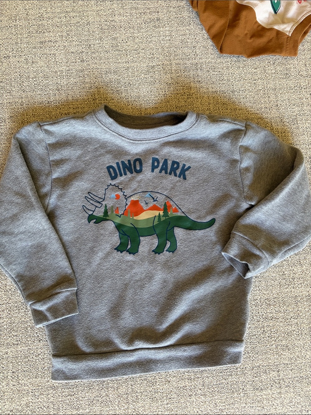 3T boys fall/winter lot of 7 pieces. Cute and fun prints and colors. - Picture 10 of 16